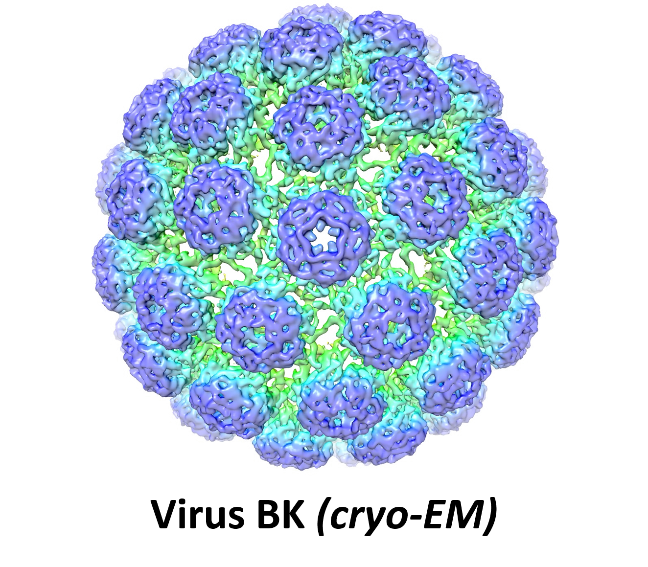 BG - Virus - EN