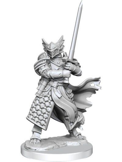DnD - Frameworks: Dragonborn Paladin Male