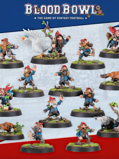 WS - BLOOD BOWL: GNOME TEAM
