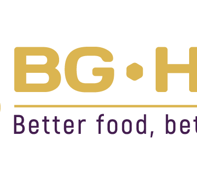 BG - Hive - EN