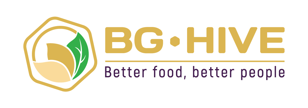 BG - Hive - EN
