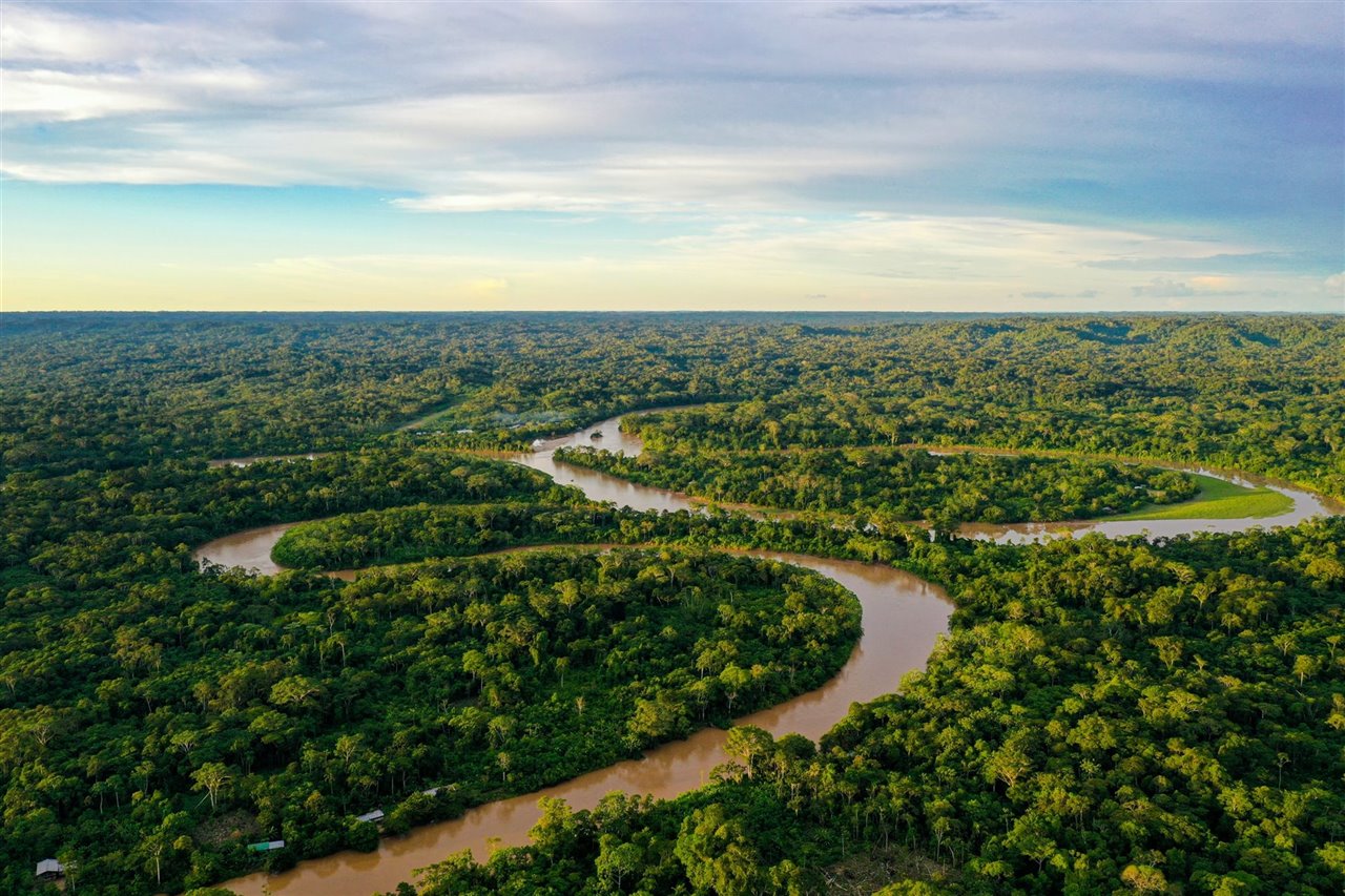 BG - Amazonia - ES