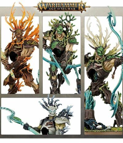 WS - AoS - VANGUARD: SYLVANETH - EN