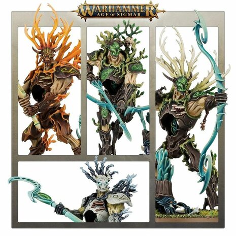 WS - AoS - VANGUARD: SYLVANETH - EN