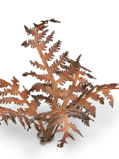 GG - Laser Plants: Bracken
