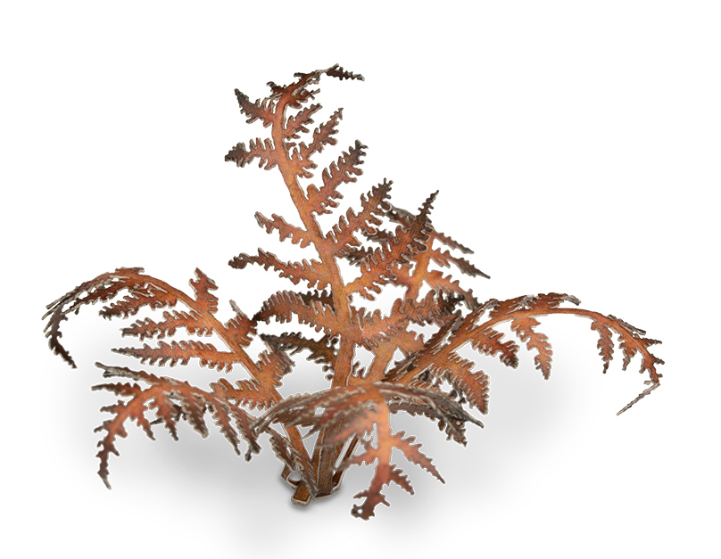 GG - Laser Plants: Bracken