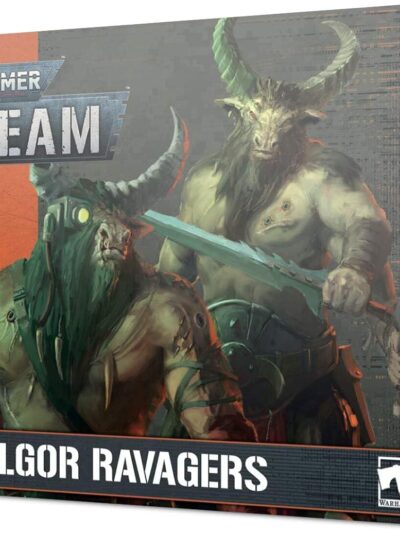 WS - Warhammer 40,000 - KILL TEAM: FELLGOR RAVAGERS- EN