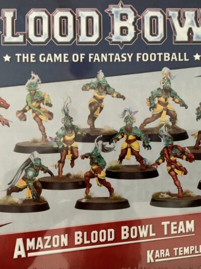WS - BLOOD BOWL: AMAZON TEAM
